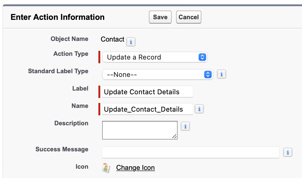 Enter Action Information Salesforce