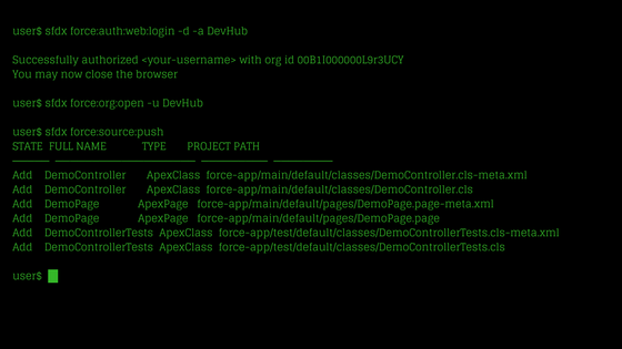 Salesforce DX Command Line