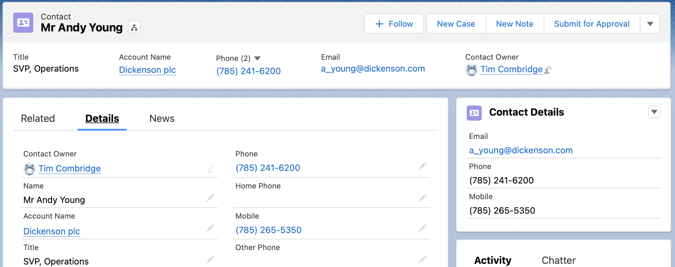Salesforce Contact Page Example