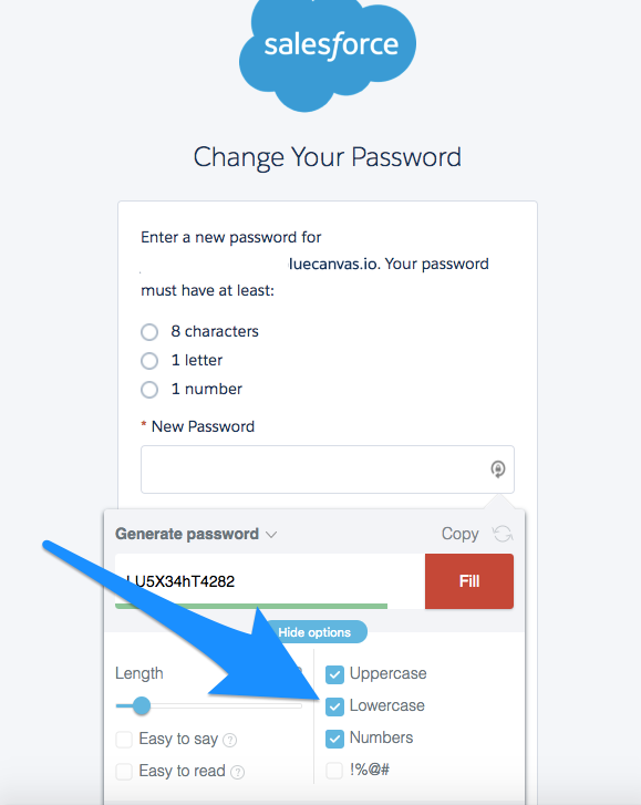 how blue canvas thinks about security