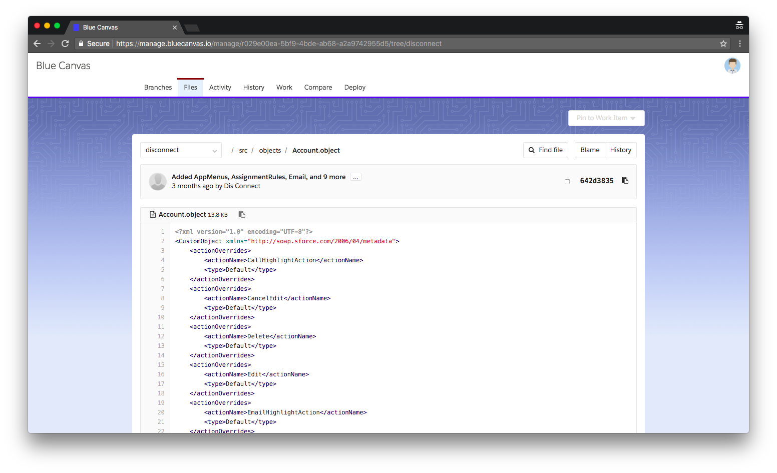 Old Salesforce Metadata API format